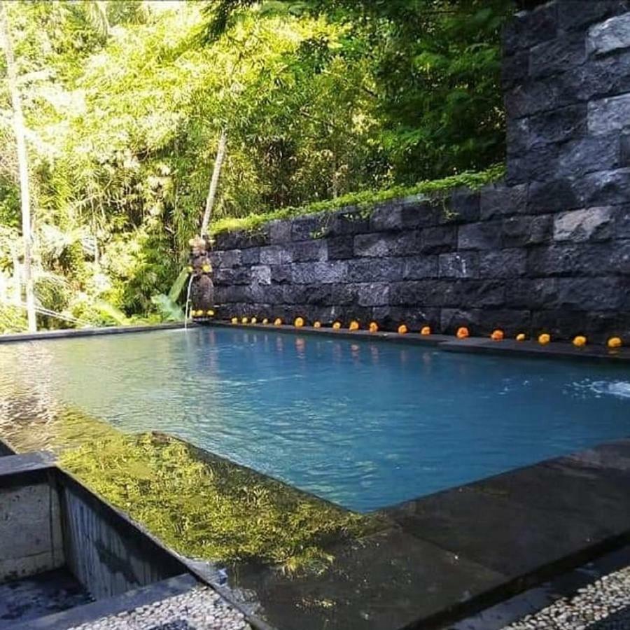 Ubud Harmony Private Villa And Pool Exteriör bild